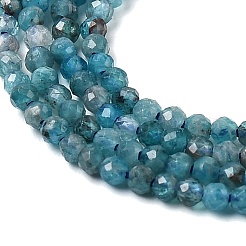 Natural Apatite Beads Strands&nbsp;G-H336-A04-01