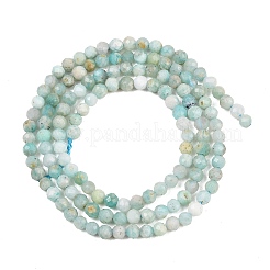 Natural Amazonite Bead Strands&nbsp;G-P279-42-3mm