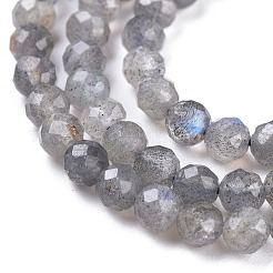 Natural Labradorite Beads Strands&nbsp;G-R475-025C