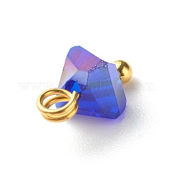 Electroplate Glass Charms&nbsp;PALLOY-JF00821-01