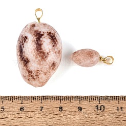 Brass & Natural Spiral Shell Pendants&nbsp;SHEL-Q029-19KCG