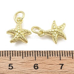 真鍮チャーム  カドミウムフリー＆ニッケルフリー＆鉛フリー  海の動物チャーム  丸カン付き  ヒトデ  11.5x10x4.5mm  穴：3mm&nbsp;KK-U060-21G-C