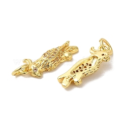 Parrot Rack Plating Brass Micro Pave Clear Cubic Zirconia Pendants&nbsp;KK-K377-65G