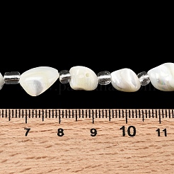 Natural Trochid Shell/Trochus Shell Beads Strands&nbsp;BSHE-A002-04A