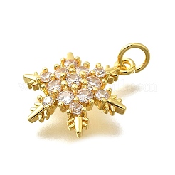 Brass Micro Pave Cubic Zirconia Pendants&nbsp;KK-D295-22G