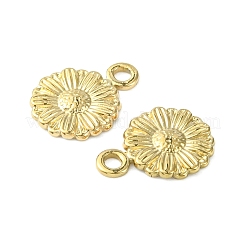 304 Stainless Steel Charms&nbsp;STAS-L269-056G