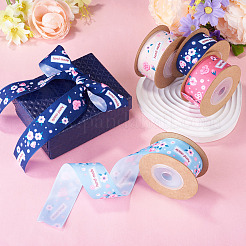 5M Polyester Ribbon&nbsp;SRIB-TA0003-43B