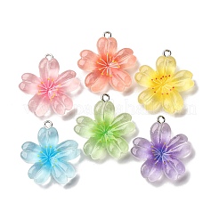 Transparent Resin Pendants&nbsp;RESI-A046-05B