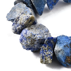 Natural Lapis Lazuli Beads Strands&nbsp;G-I283-F21