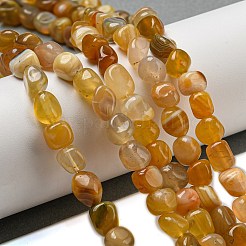 天然石ボツワナアゲートビーズ連売り  ナゲット  タンブルストーン  7.5~12x7~10x6~8mm  穴：1.2mm  約45個/連  15.16''（38.5センチメートル）&nbsp;G-D081-A10-02