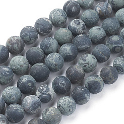 Natural Kambaba Jasper Beads Strands&nbsp;G-P430-02-D