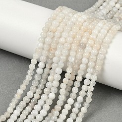 天然ホワイトムーンストーンビーズ連売り  ラウンド  4mm  穴：1mm  約90個/連  15.35インチ（39cm）&nbsp;G-D294-4mm-02