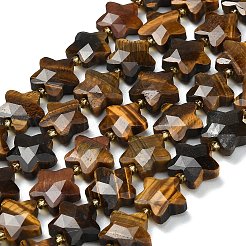 Natural Tiger Eye Beads Strands&nbsp;G-L657-A09-01
