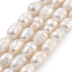 Natural Cultured Freshwater Pearl Beads Strands&nbsp;PEAR-P062-08A