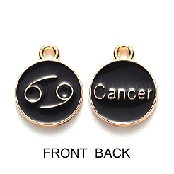 Alloy Enamel Pendants&nbsp;ENAM-SZ0001-27C-D