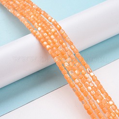 Natural Trochus Shell Beads Strands&nbsp;SSHEL-H070-02D