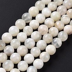 Natural White Moonstone Beads Strands&nbsp;G-F674-08-10mm-01