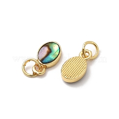 Epoxy Resin & Natural Paua Shell Oval Charms&nbsp;KK-K384-20A-G