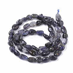 Natural Iolite Beads Strands&nbsp;G-S362-039