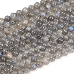 天然石ラブラドライトビーズ連売り  スムーズなラウンド  8mm  穴：1mm  約46個/連  15.35''（39センチメートル）&nbsp;G-L654-O02-8mm