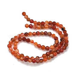 Natural Red Agate Beads Strands&nbsp;G-B168-A04-2mm