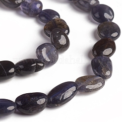 Natural Iolite Beads Strands&nbsp;G-D0002-D74