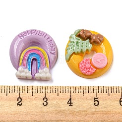 Imitation Food Resin Decoden Cabochons&nbsp;RESI-C046-02