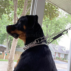 4個 4色 ポリエステルコード編み 犬用ハーネス カラー リーシュ コネクター  アルミニウム合金クラスプ犬首輪安全クリップ  ミックスカラー  193x22x8mm&nbsp;AJEW-GO0001-38