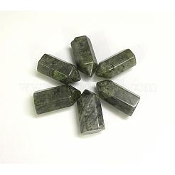 Natural Labradorite laPointed Beads&nbsp;G-G760-K18
