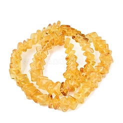 Natural Amber Beads Strands&nbsp;G-N371-12A-01