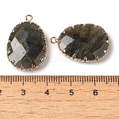 Natural Labradorite Faceted Pendants&nbsp;G-Q169-01G-03