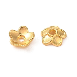 Tibetan Style Alloy Bead Caps&nbsp;FIND-C060-024G