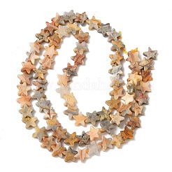 Natural Crazy Agate Beads Strands&nbsp;G-F817-A05-01
