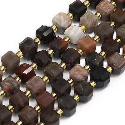 Natural Fossil Beads Strands&nbsp;G-I376-D24-01-1