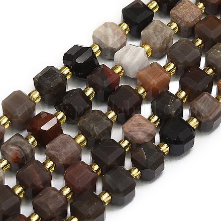 Natural Fossil Beads Strands G-I376-D24-01-1