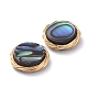 Abalone Shell/Paua Shell Copper Wire Wrapped Flat Round Cabochons&nbsp;PALLOY-JF00418-01-2