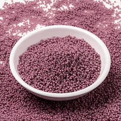 MIYUKI Round Rocailles Beads&nbsp;X-SEED-G009-RR4487