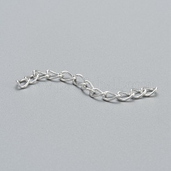 鉄はツイストチェーンで終わる  銀  45~55x3.5mm  リンク：5x3.5x0.8mm&nbsp;CH-R001-S-5cm