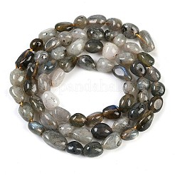 天然石ラブラドライトビーズ連売り  ナゲット  タンブルストーン  4~6x7~10x4~6mm  穴：1mm  15.75''（40センチメートル）&nbsp;G-P497-01B-03