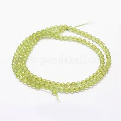 天然石ペリドットビーズ連売り  多面カット  ラウンド  3mm  穴：0.5~0.6mm  約144~151個/連  15.3~15.7インチ（39~40cm）&nbsp;G-F460-52