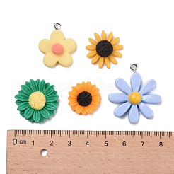 Epoxy Resin Pendants & Cabochons&nbsp;CRES-MSMC002-56