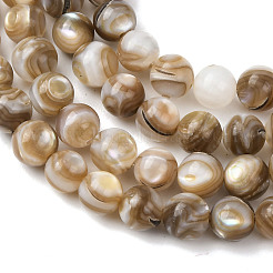 Natural Freshwater Shell Beads Strands&nbsp;X-SHEL-K006-71A