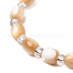 Natural Trochid Shell/Trochus Shell Beads Strands&nbsp;BSHE-A002-01B