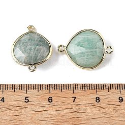 真鍮製コネクタチャーム  天然アマゾナイトと  ラックめっき  ティアドロップ  24.5x18x7mm  穴：1.6mm&nbsp;G-H323-01G-06