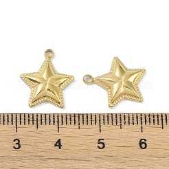Ion Plating(IP) 304 Stainless Steel Pendants&nbsp;STAS-R233-09G