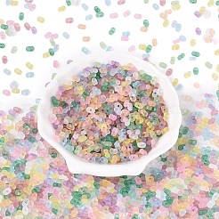 FGB Frosted Transparent Glass Seed Beads&nbsp;SEED-N013-06A
