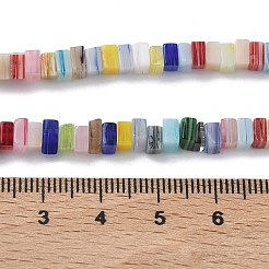 Handmade Lampwork Beads Strands&nbsp;LAMP-Q037-02A-09