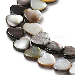 Natural Black Lip Shell Beads Strands&nbsp;SHEL-K006-17