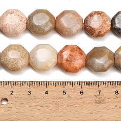 天然化石サンゴのビーズ連売り  八角形  16~17x16~17x8~9mm  穴：1.2mm  約23個/連  14.96''（38センチメートル）&nbsp;GG-CBA362F-01