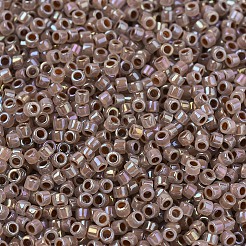 MIYUKI Delica Beads&nbsp;SEED-MY11-DB1749